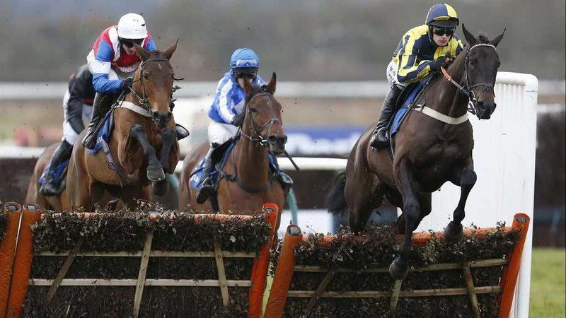Horse Racing Trixie Horse Racing Trixie