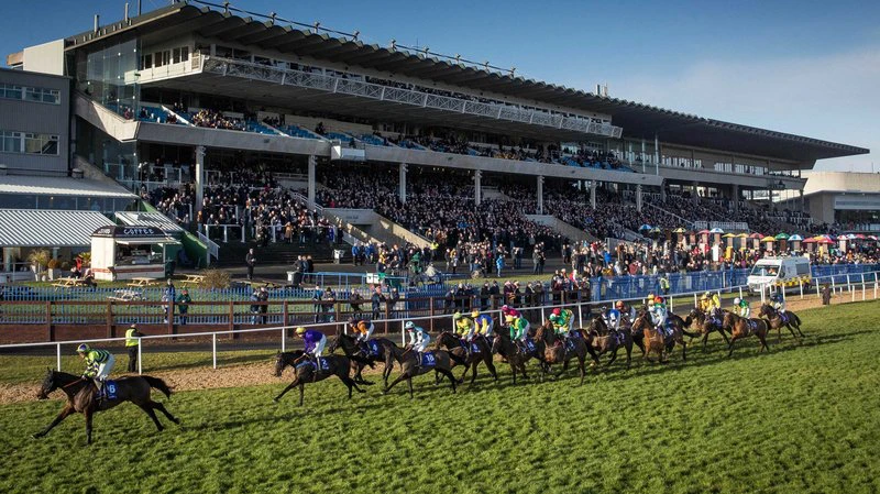 Flat racing Flat racing