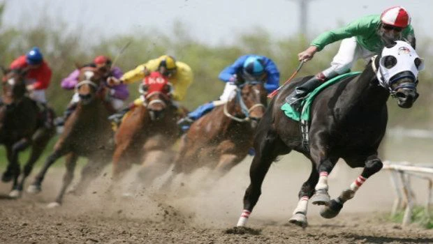lucky Bets in Horse Racing lucky Bets in Horse Racing