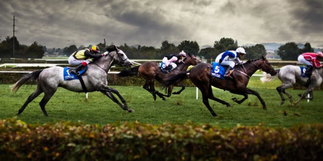 flat racing flat racing