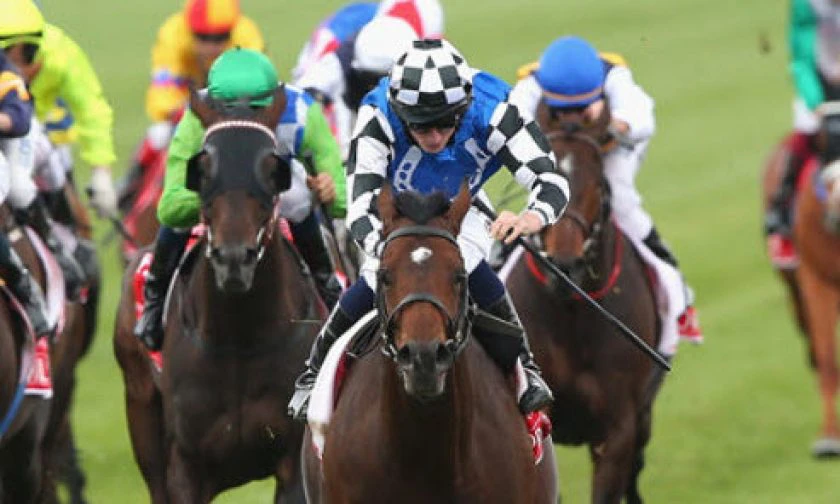 best horse racing handicap ratings handicappers