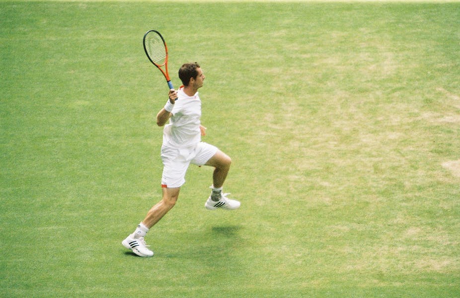 wimbledon betting tips wimbledon betting tips