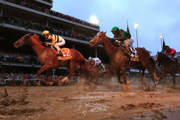 horse racing system bookmaker horse racing system bookmaker