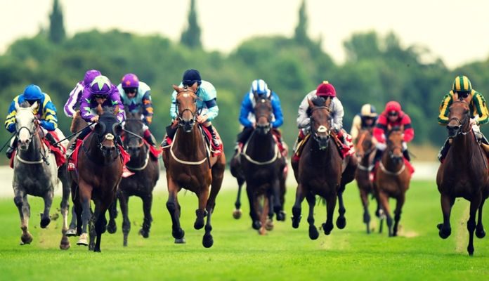 place bet backing horse place bet backing horse