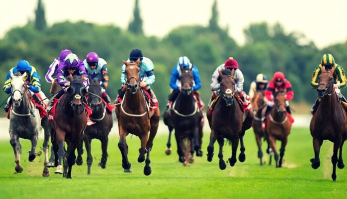 place bet backing horse place bet backing horse