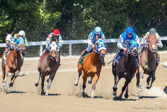 horse racing horse racing betting uk