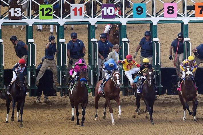 betting on horse racing gamblers