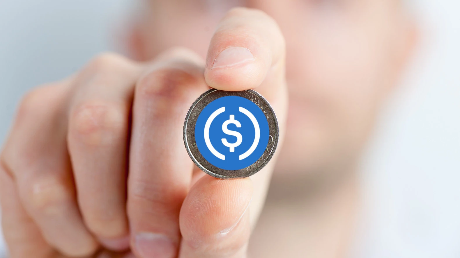 usdc usdc review price