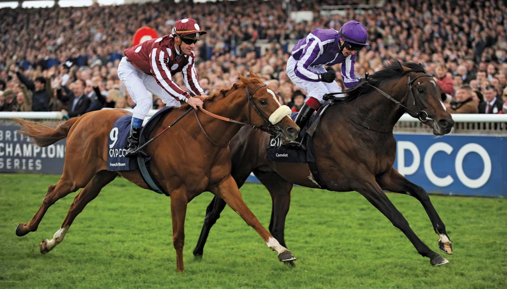 exotic betting