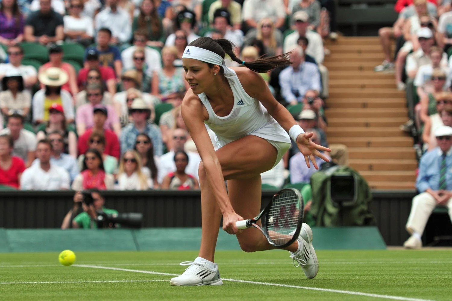 ivanovic power horse serbia davis cup ana ivanovic