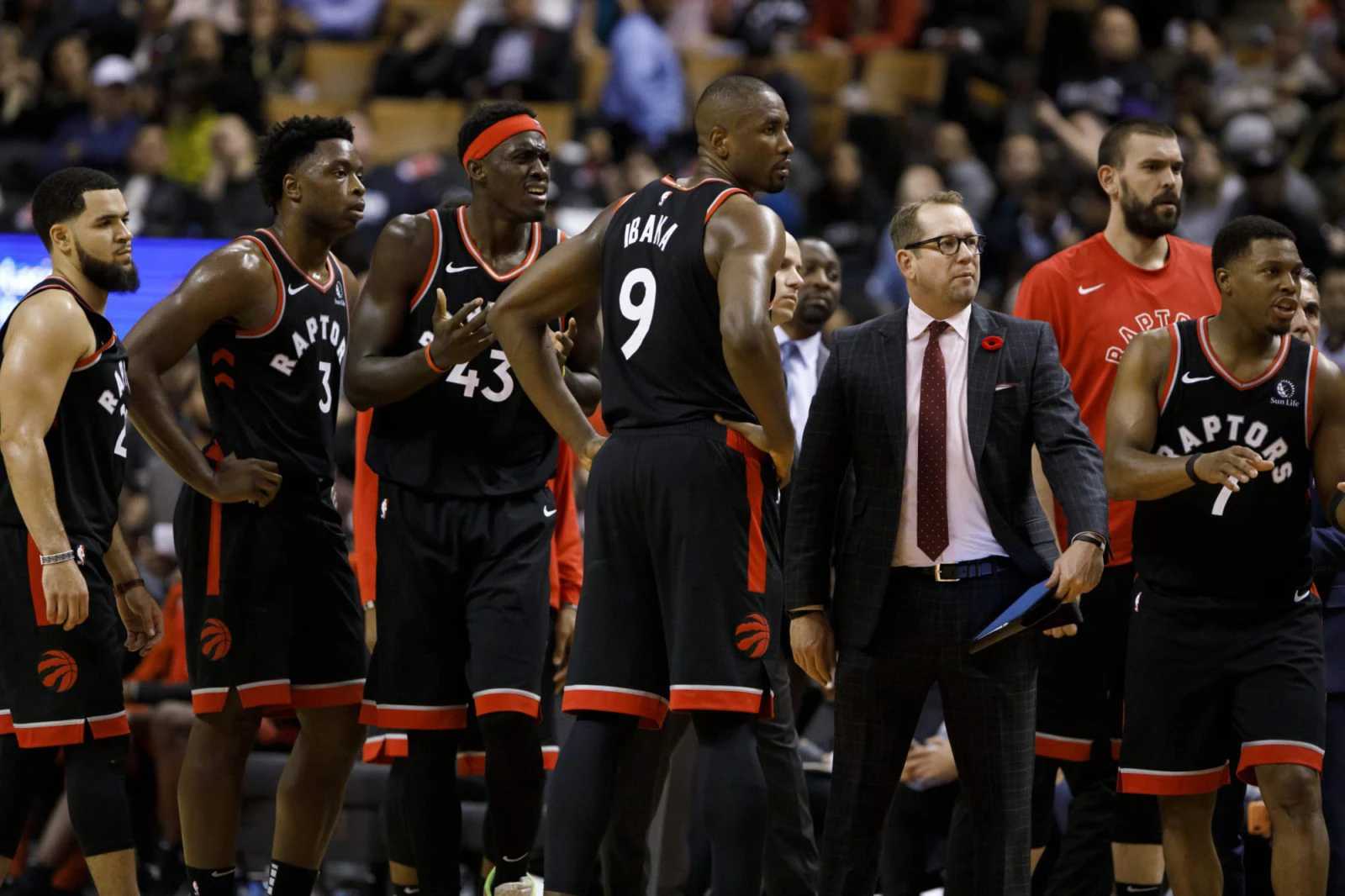 raptors toronto raptors will play in florida