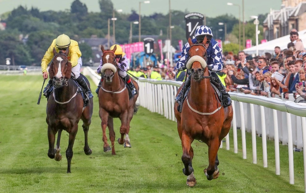 horse race horse racing best odds guaranteed free bet