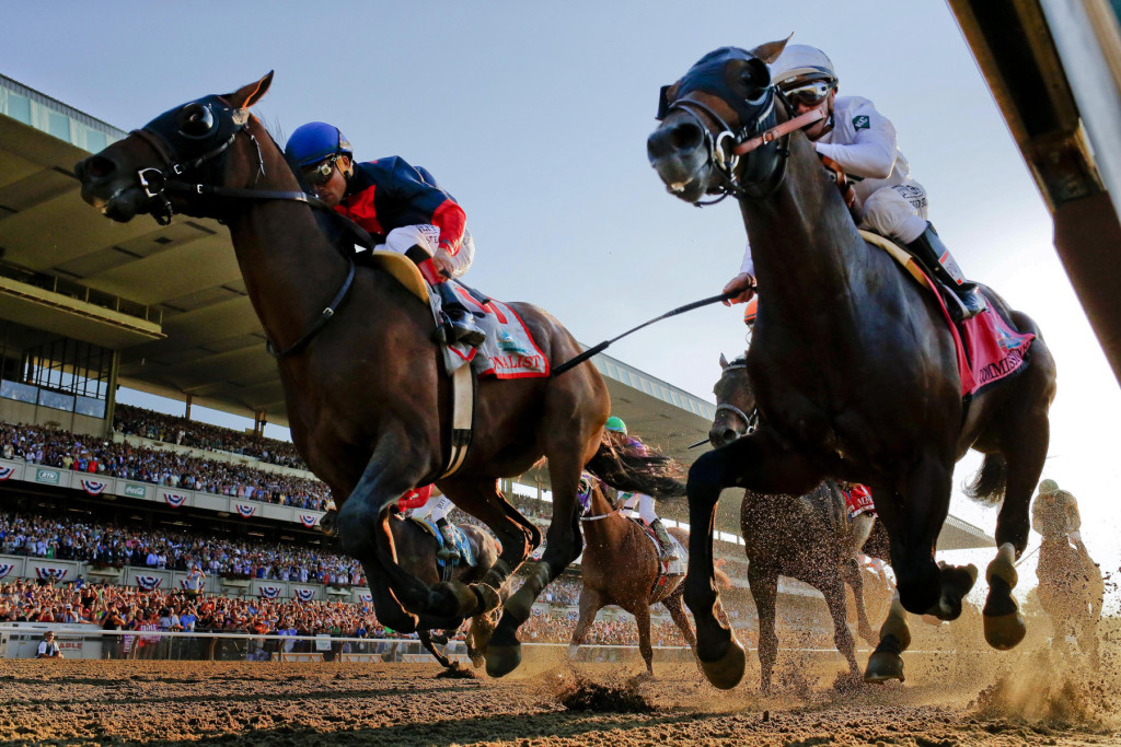 each way horse
