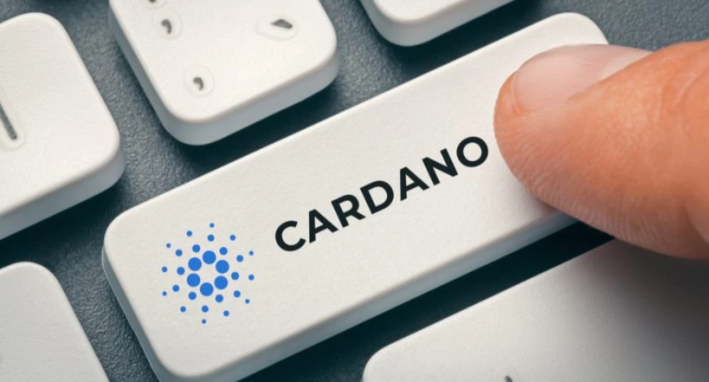 cardano-button cardano coin price pros and cons