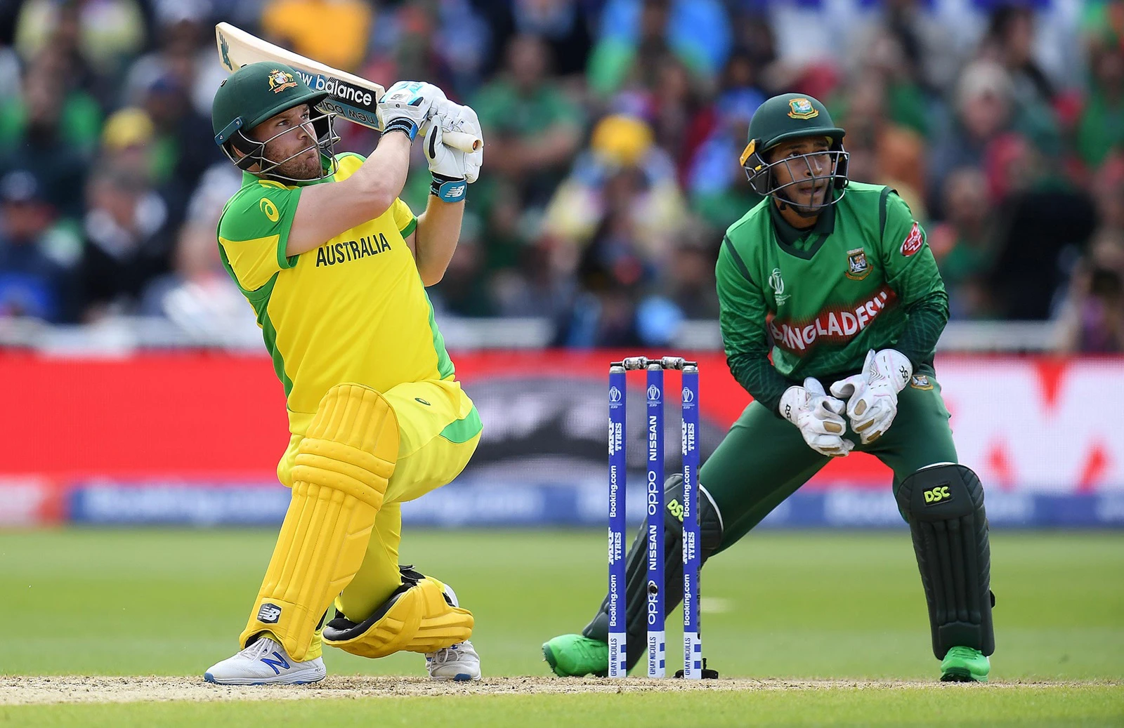 australia-bangladesh icc world cup bets cricket betting odds