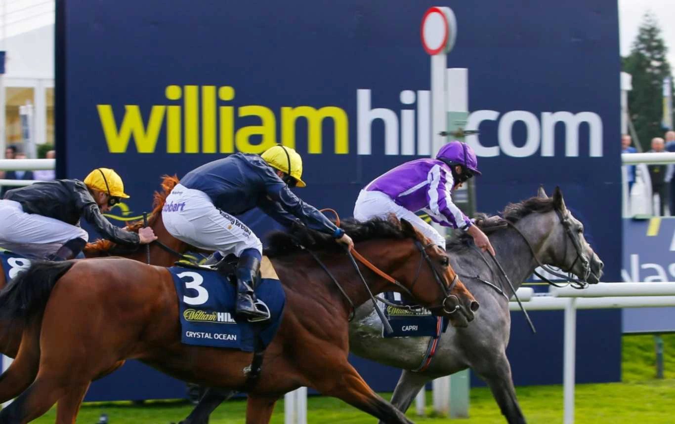 wh-horse-race william hill free tv horse racing betting