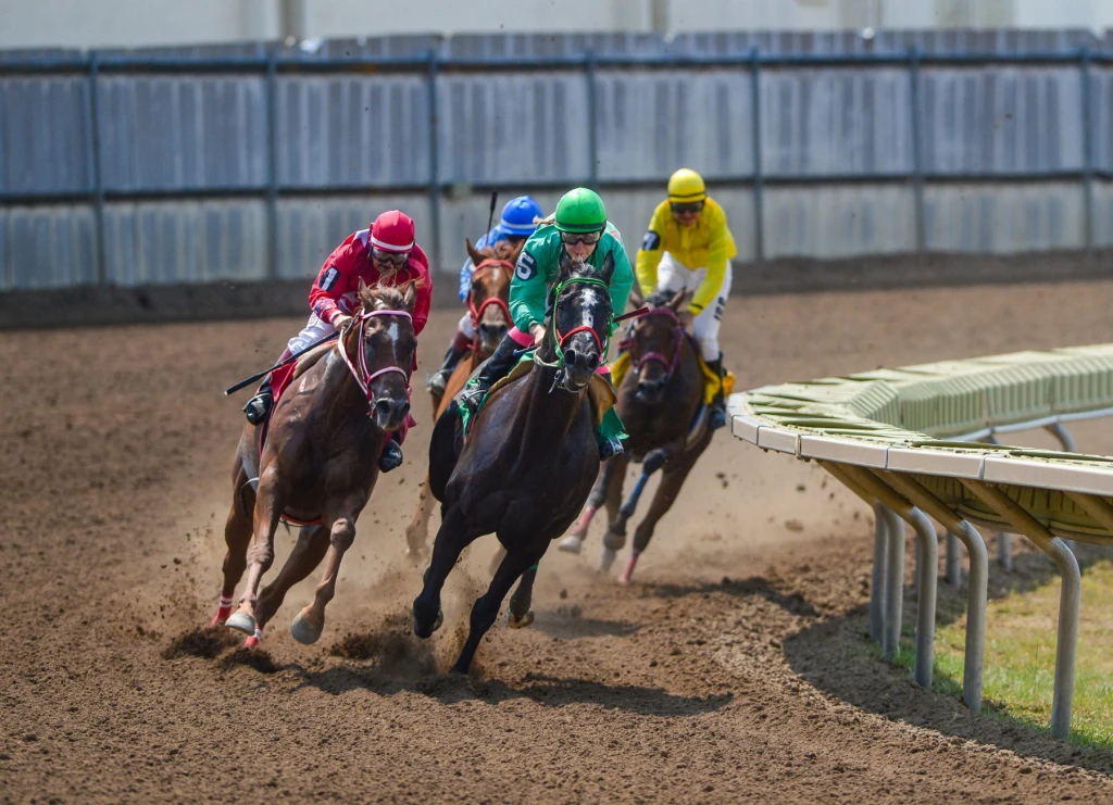 race-horse