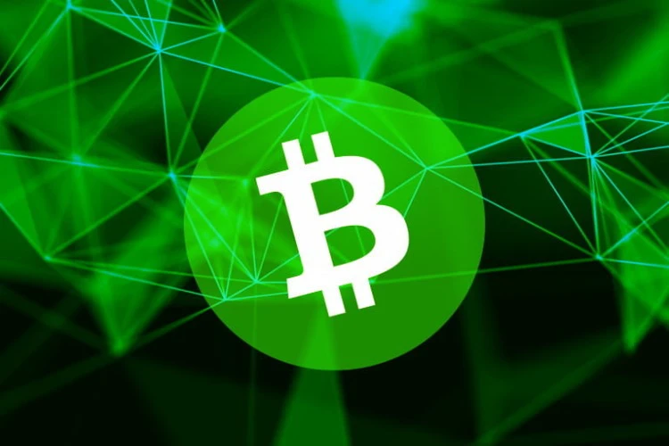 bitcoin-cash which is better bitcoin sv or litecoin