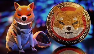 how many shiba inu coins are there