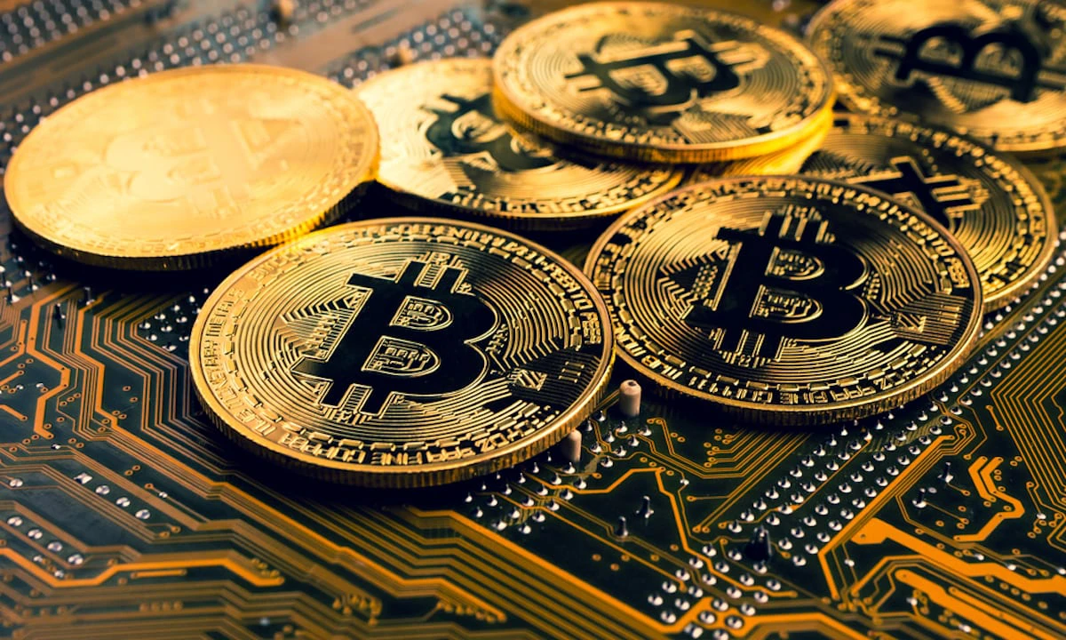 wrapped bitcoin sports betting wbtc token