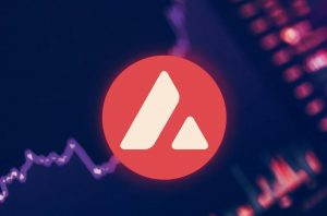 is best avalanche wallet a good investment