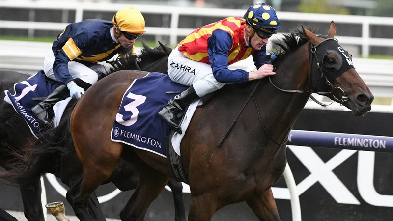 how to bet on the Melbourne Cup online how to bet on the Melbourne Cup online
