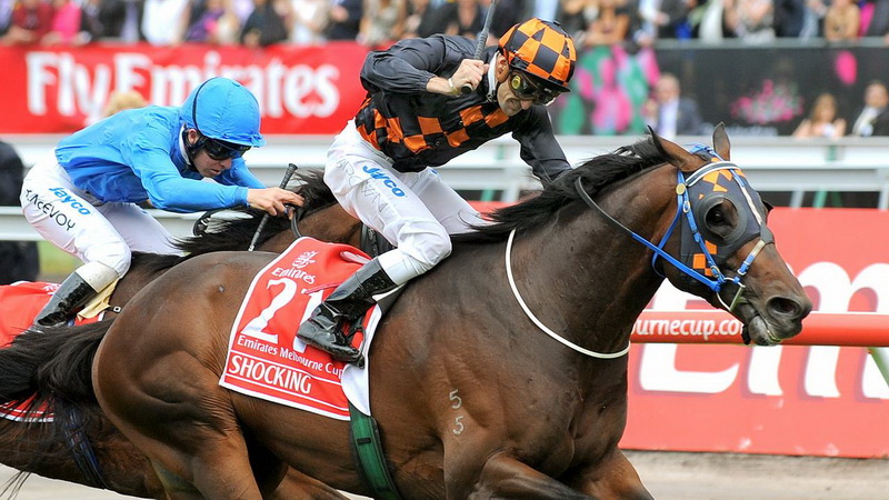 melbourne cup tips for betting