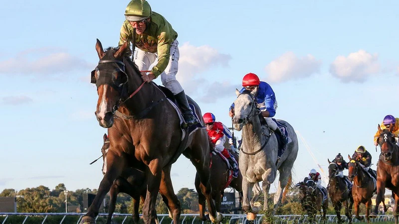 what is Melbourne Cup betting online guide what is Melbourne Cup betting online guide