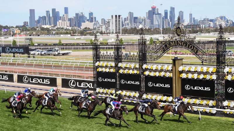 where to bet on the Melbourne Cup