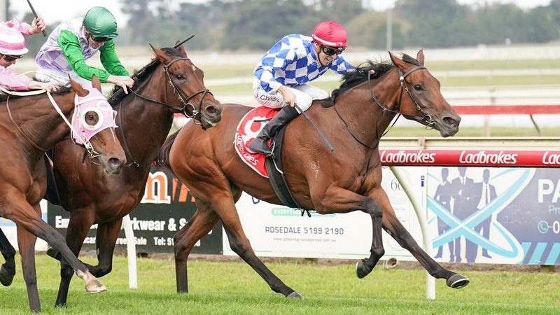 where to watch Melbourne Cup online where to watch Melbourne Cup online