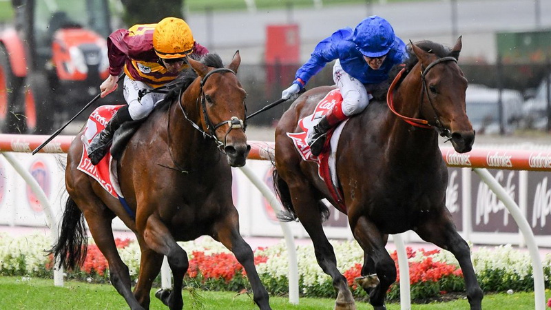 cox plate betting odds trifecta and quaddie