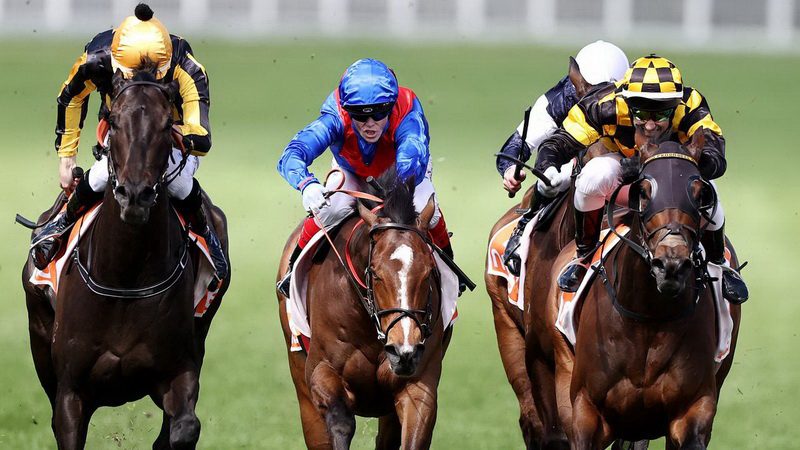 odds for horse racing cox plate betting odds for horse racing cox plate betting