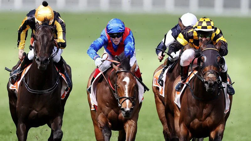 odds for horse racing cox plate betting odds for horse racing cox plate betting