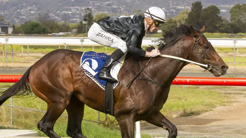 when where is the cox plate run when where is the cox plate run