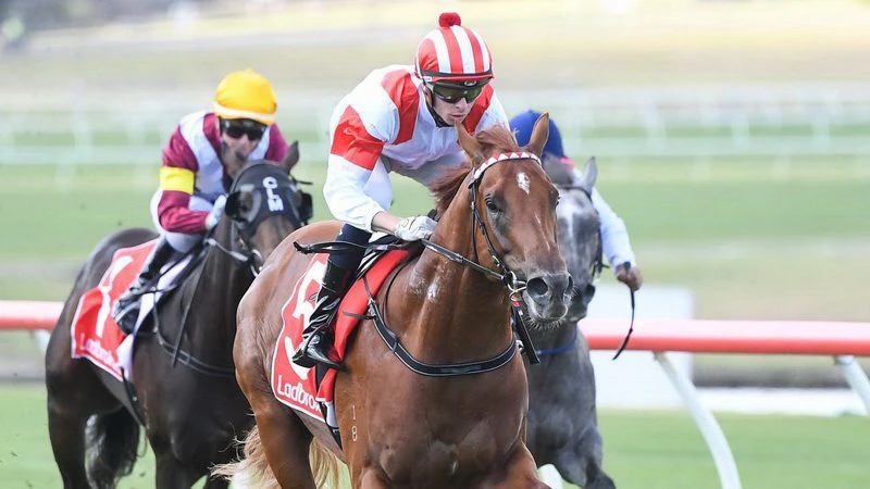 where is the cox plate barrier draw where is the cox plate barrier draw