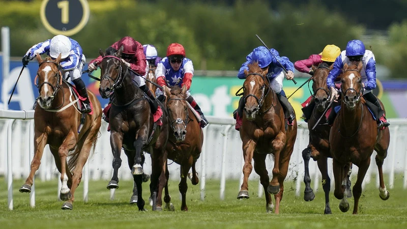 what is a patent bet in horse racing what is a patent bet in horse racing