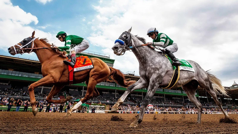 patent bet meaning betting explained patent bet meaning betting explained