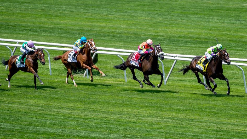 betting sites with free registration bonus in india betting sites with free registration bonus in india
