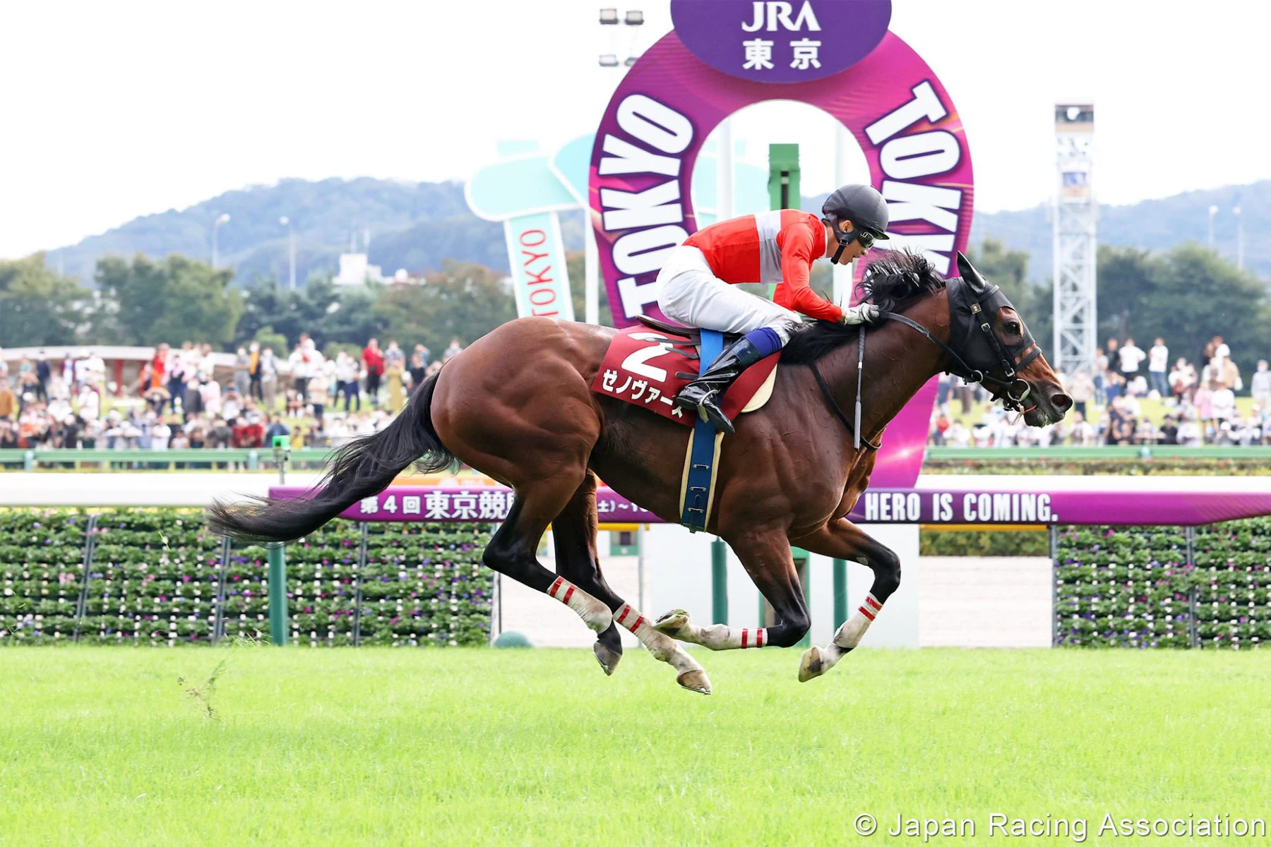 japanese betting sites and baseball odds japanese betting sites and baseball odds