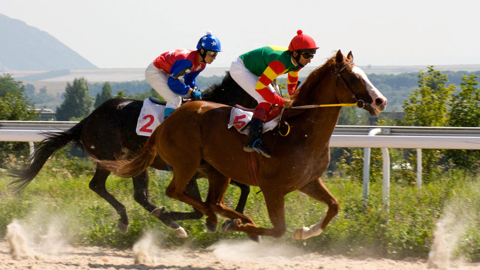 what does trixie mean in betting what does trixie mean in betting
