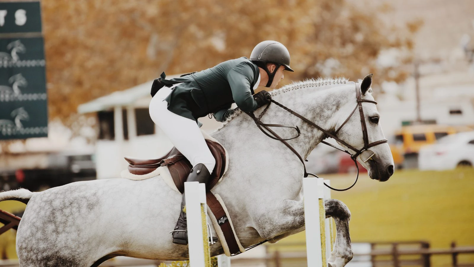 what is a trixie bet in horse racing what is a trixie bet in horse racing