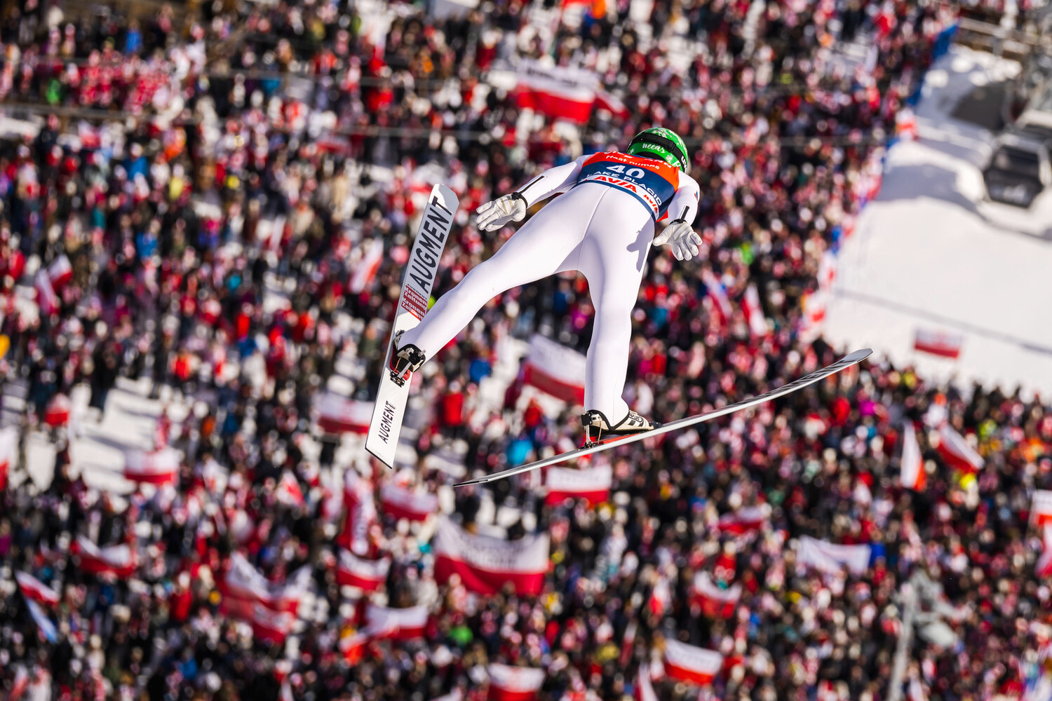 what is ski jumping in the olympics