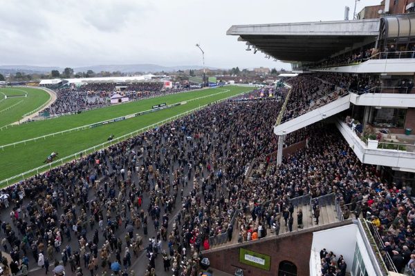 cheltenham-crowd cheltenham-crowd