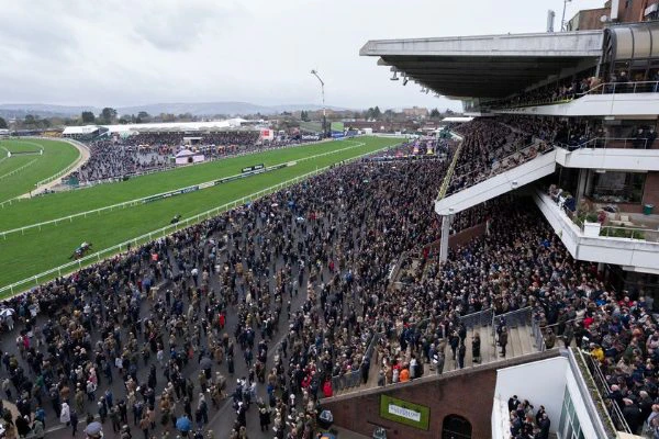 cheltenham-crowd cheltenham-crowd