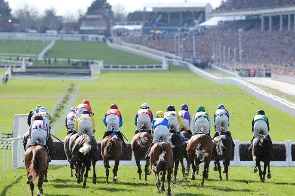 cheltenham-festival-betting-guide cheltenham-festival-betting-guide