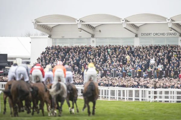 cheltenham-festival cheltenham-festival