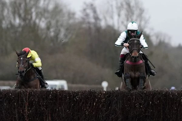 cheltenham-gold-cup cheltenham-gold-cup