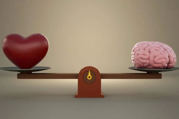 emotional-decision-making emotional-decision-making