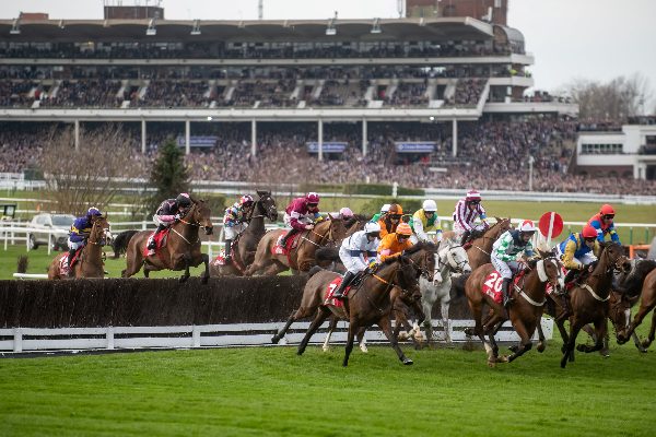 horse-race horse-race