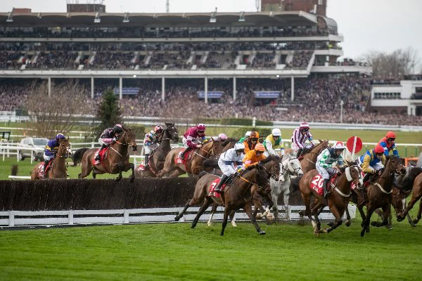 horse-race horse-race